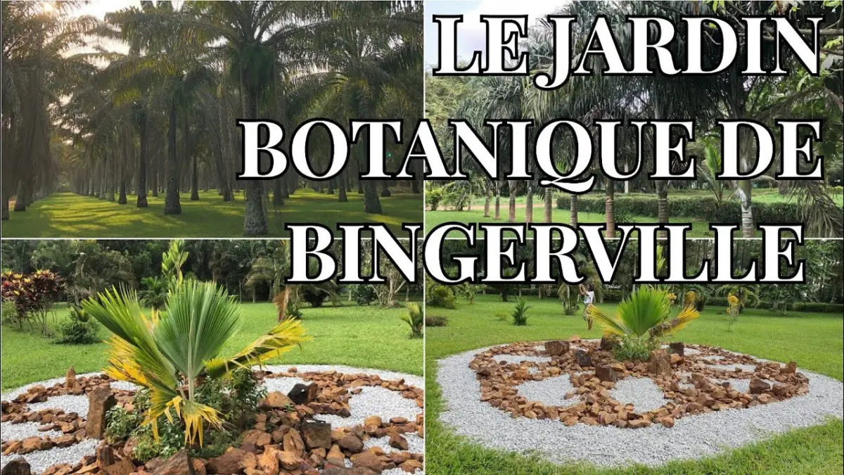 Location d'appartements à Bingerville 15 Location d'appartements à Bingerville: Jardin botanique