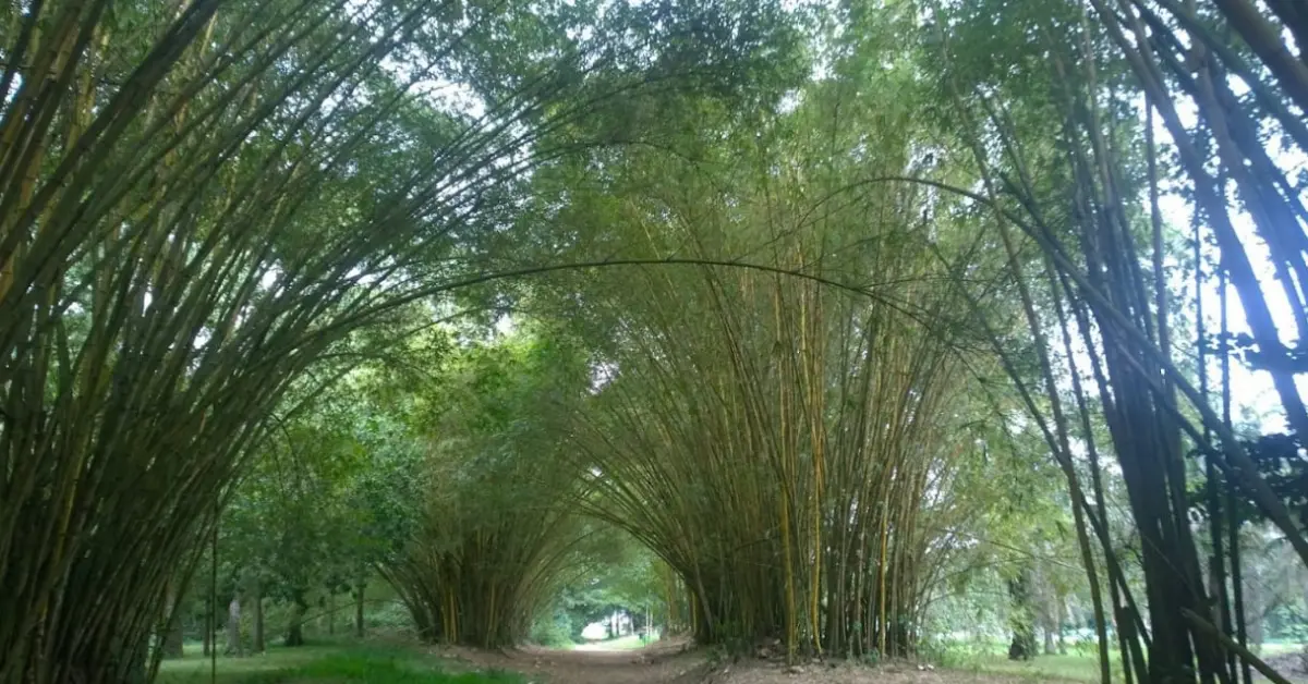 Location d'appartements à Bingerville: Espaces verts Vacation rentals in Bingerville